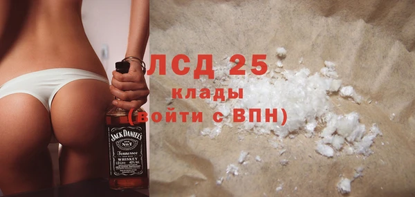 шишки Алексин