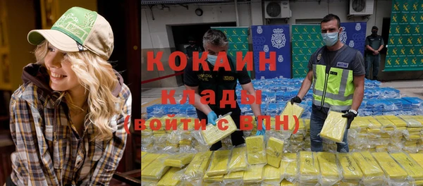 сатива Зеленокумск