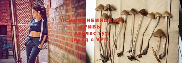 шишки Алексин