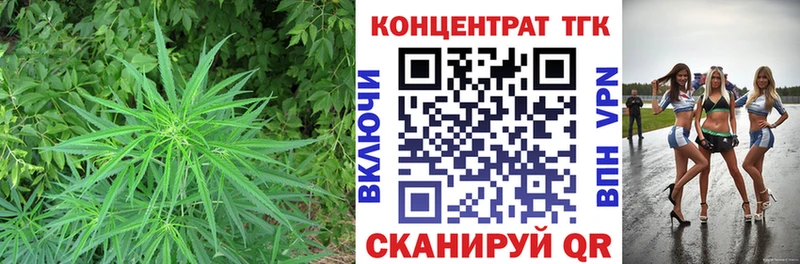 ТГК Wax  KRAKEN вход  Александровское 