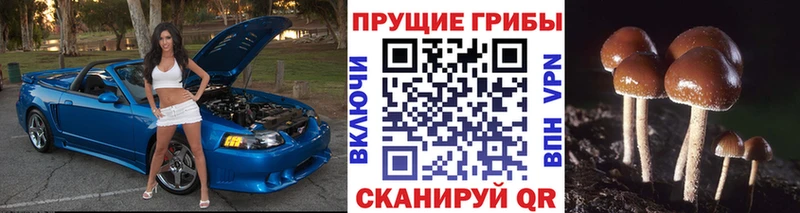 Псилоцибиновые грибы GOLDEN TEACHER  mega ТОР  Александровское 